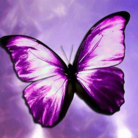 Meet your Posh Ambassador, Michelle - Picture 3 of 10